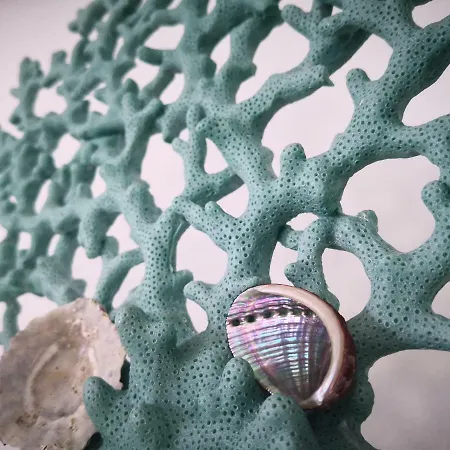 On The Sea Διαμέρισμα Puerto de la Madera