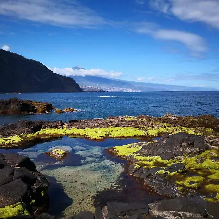 Apartmán On The Sea