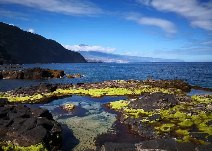 Lägenhet On The Sea